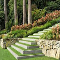 Landscape Design